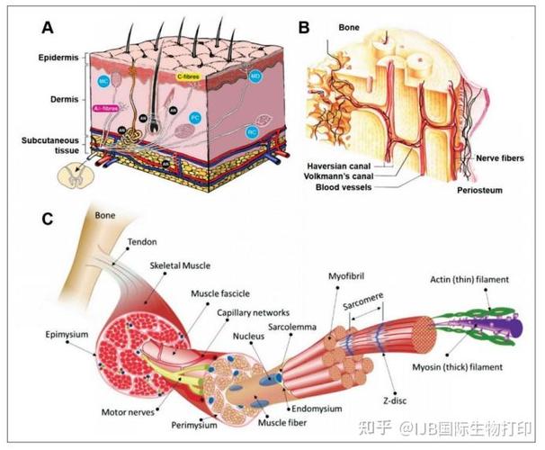 CyanogenMod移植教程，如何操作？-图1