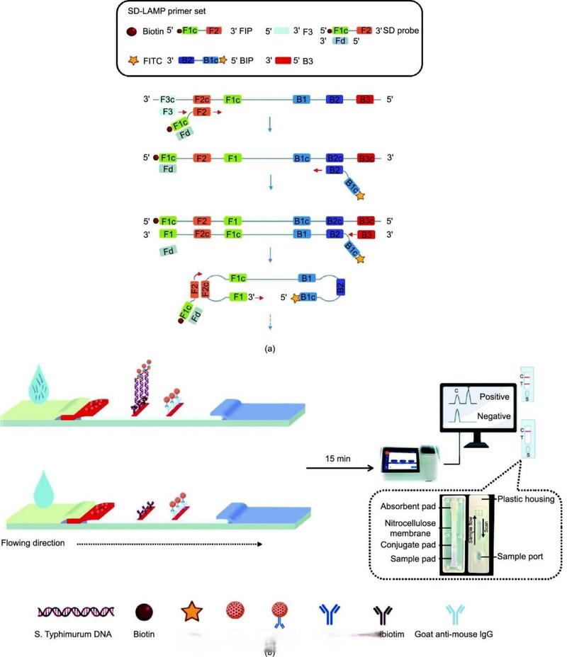 ChemBioOffice教程怎么学?新手入门指南看这里!-图3 ChemBioOffice教程怎么学?新手入门指南看这里!-图3