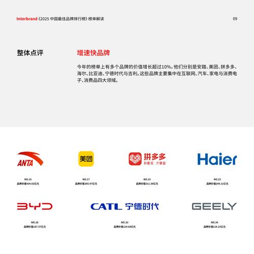 2025年哪些品牌最受欢迎？-图3
